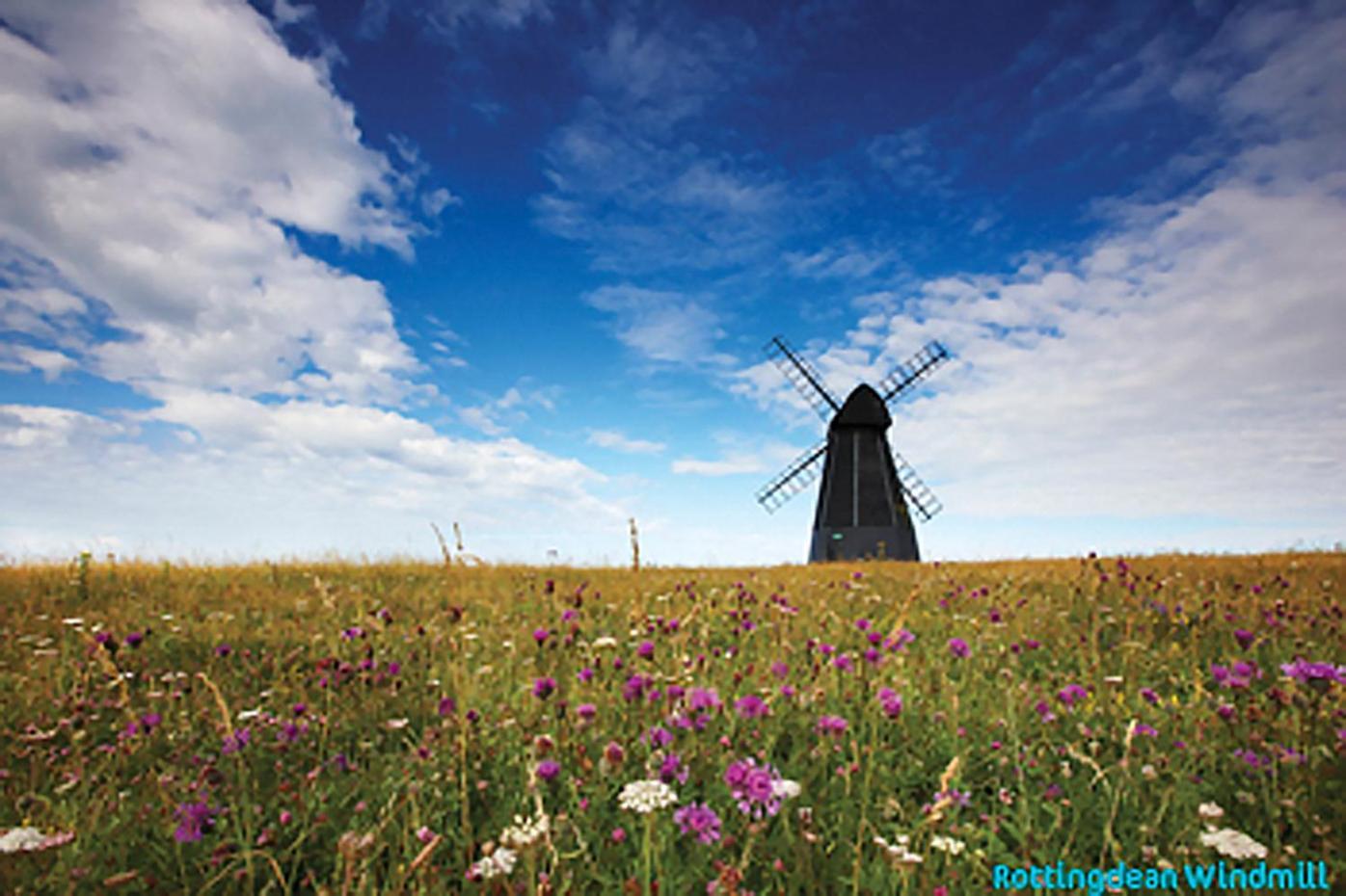 Dean Court Garden - Parking - By Brighton Holiday Lets 외부 사진